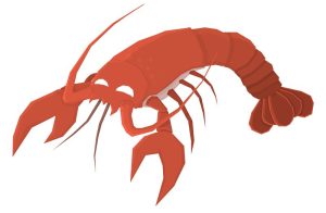 Facts About Lobsters That Will Leave Humans Wondering