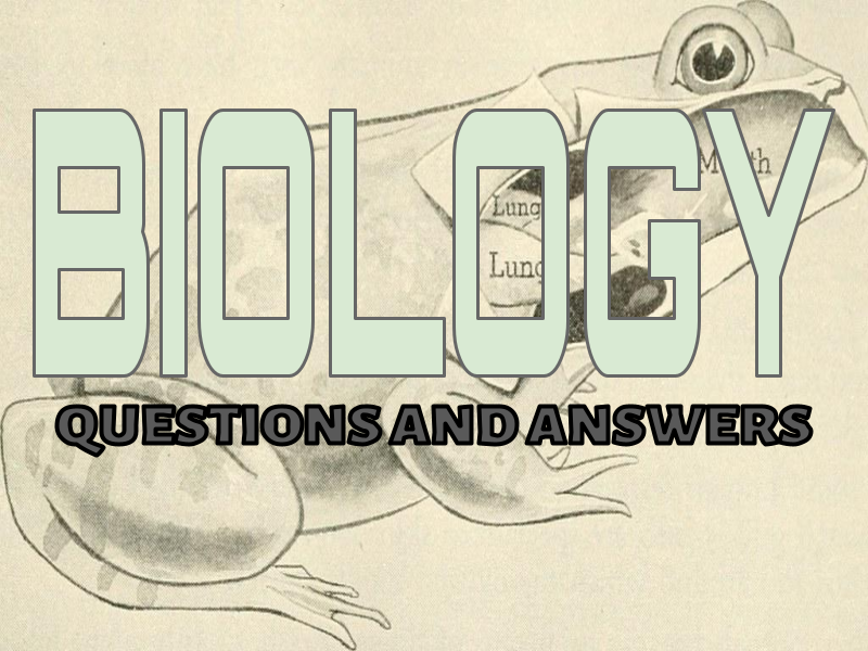 biology essay questions form three