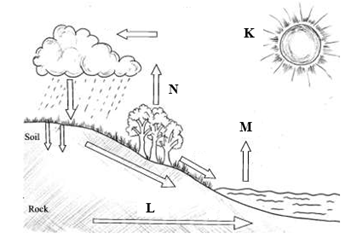 The diagram              below shows the hydrological cycle.