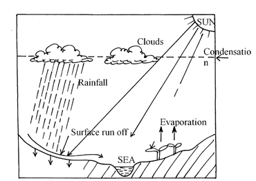 THE          HYDROLOGICAL CYCLE