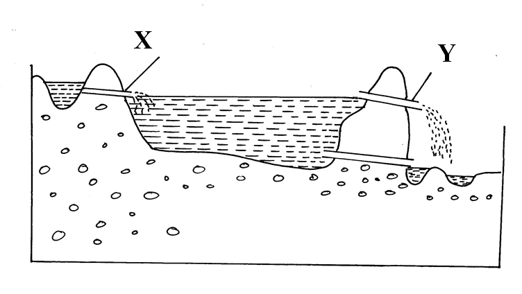 diagram of a fish pond